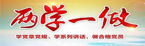 两学一做